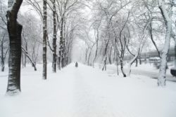 Winter