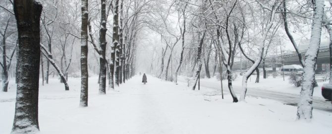 Leiden Sie Unter Winterdepressionen? Finden Sie Es Heraus!