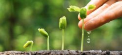 samen-aufkeimen_header-facebook